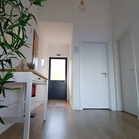 Casas De Madeira C